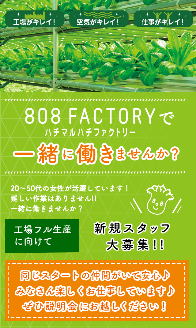 工場がキレイ！空気がキレイ！仕事がキレイ！808factory（ハチマルハチファクトリー）で一緒に働きませんか？20代〜50代の女性が活躍しています！難しい作業はありません！！一緒に働きませんか？工場フル生産に向けて新規スタッフを20名大募集！！同じスタートの仲間がいて安心♪みなさん楽しくお仕事しています♪ぜひ説明会にお越しください！