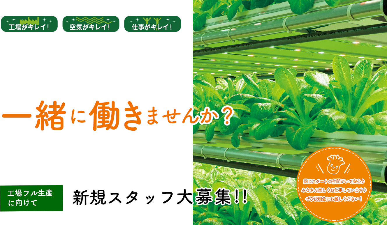 工場がキレイ！空気がキレイ！仕事がキレイ！808factory（ハチマルハチファクトリー）で一緒に働きませんか？20代〜50代の女性が活躍しています！難しい作業はありません！！一緒に働きませんか？工場フル生産に向けて新規スタッフを20名大募集！！同じスタートの仲間がいて安心♪みなさん楽しくお仕事しています♪ぜひ説明会にお越しください！