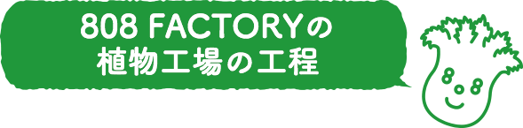 808FACTORYの植物工場の工程